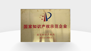 國家知識產(chǎn)權(quán)示范企業(yè)