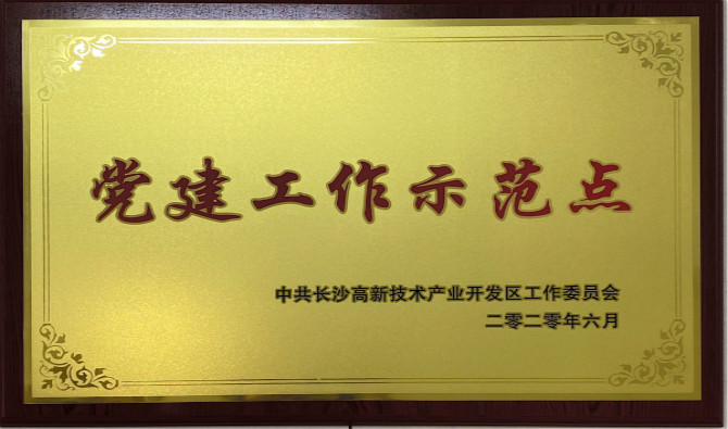 長沙高新區黨工委授予中共九芝堂股份有限公司委員會“黨建工作示范點”“優秀黨務工作者”榮譽稱號