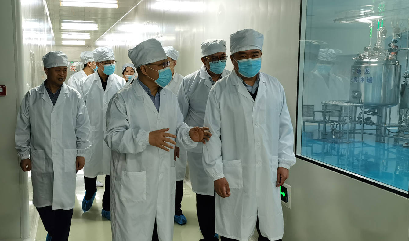 黑龍江省藥品監(jiān)督管理局副局長王曉剛一行蒞臨友搏藥業(yè)進行檢查指導(dǎo)