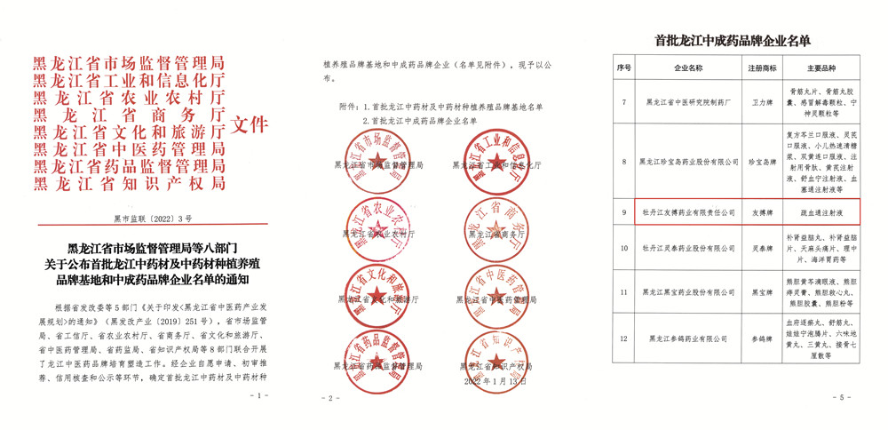 友搏藥業(yè)喜獲“首批龍江中成藥品牌企業(yè)”榮譽稱號