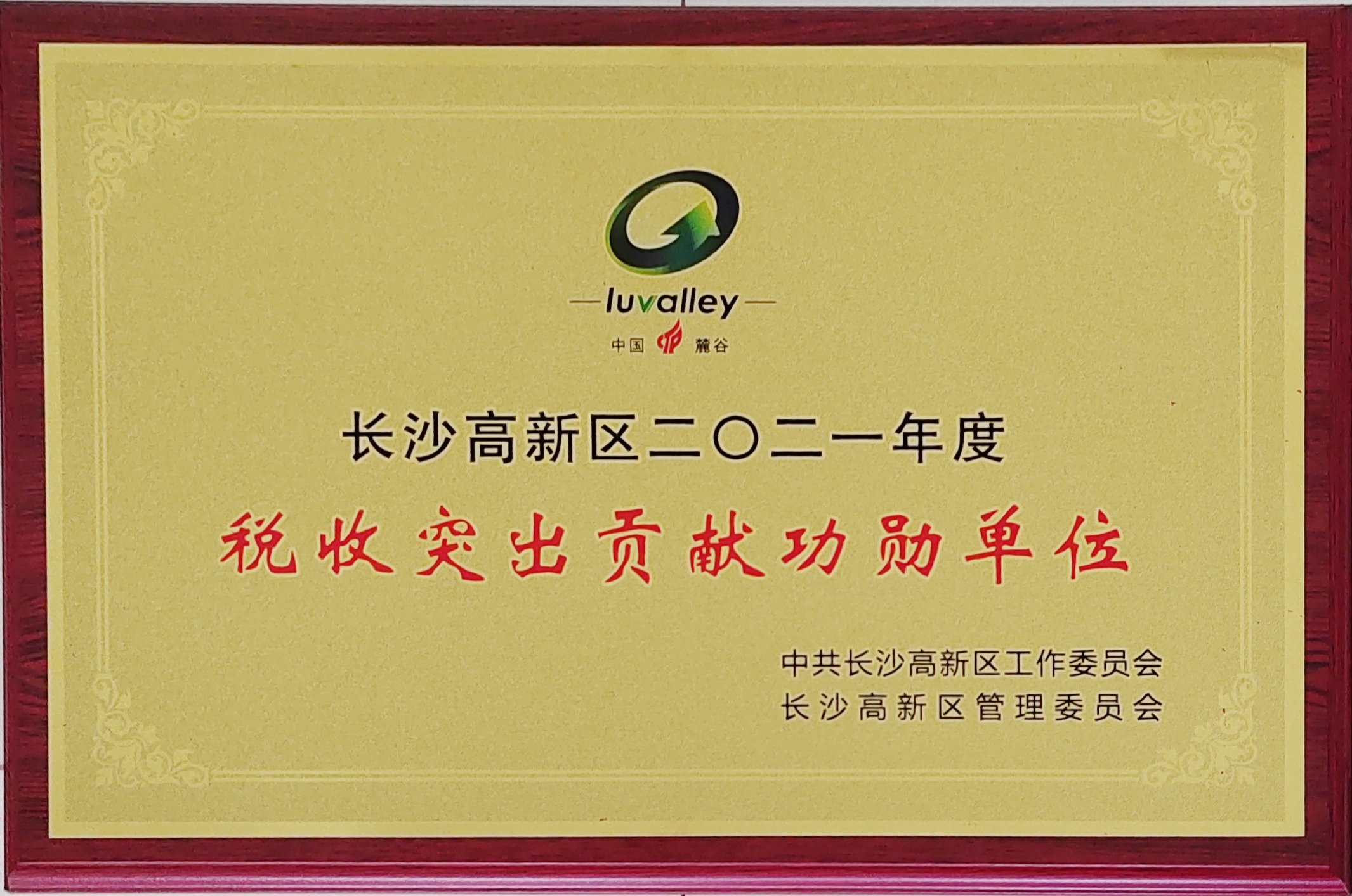 九芝堂蟬聯長沙市高新區“稅收突出貢獻功勛單位”！
