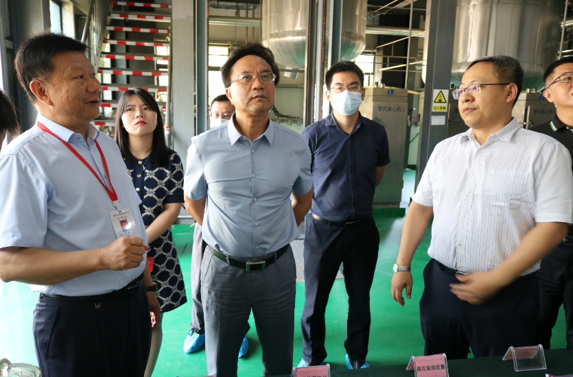 海口市政協副主席韓斌一行蒞臨公司調研走訪