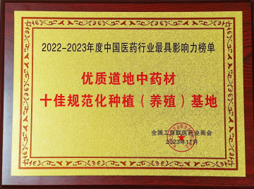 裸花紫珠規(guī)范化種植 道地藥材好品質(zhì)